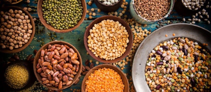 FAO nhấn mạnh vai trò của các loại đậu pulse trong việc chống đói và đạt được chế độ ăn uống lành mạnh cho tất cả mọi người