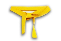 Những điều mà Six Sigma Yellow Belt ( Đai vàng) nên biết đến!